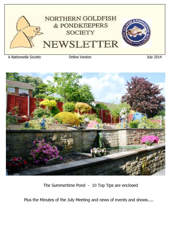 007-NGPSjul2014.pdf