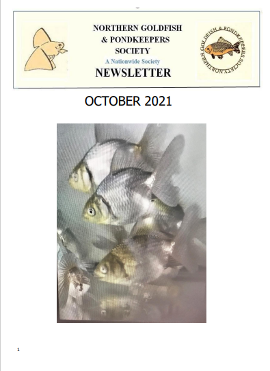 NGPSnewsletterOctober2021phone.pdf