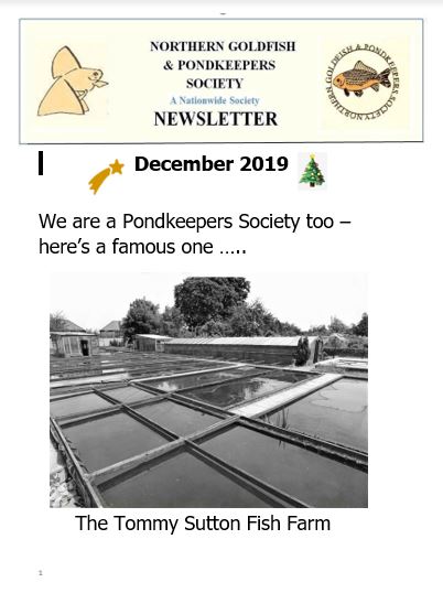 073-NGPSnews2019dec.pdf