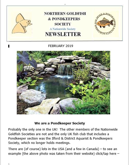 063-NGPSnewsletterFebruary2019.pdf
