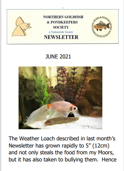 NGPSnewsletterJune2021.pdf