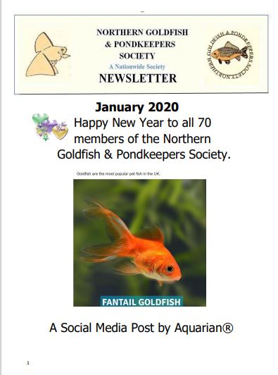 NGPSnewsletterJanuary2021phone.pdf