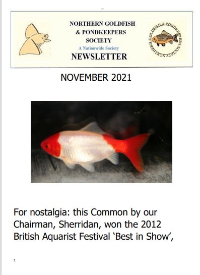 NGPSnewsletterNovember2021phone.pdf