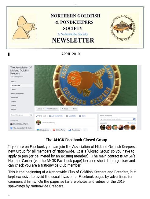 065-NGPSnews2019apr.pdf