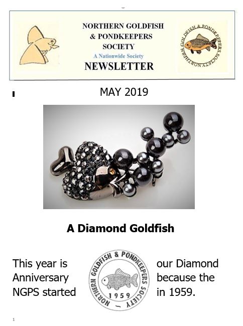 066-NGPSnews2019may.pdf