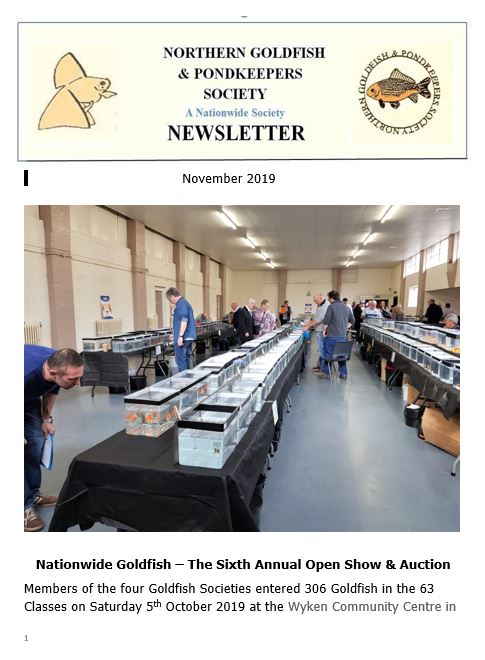 072-NGPSnews2019nov.pdf