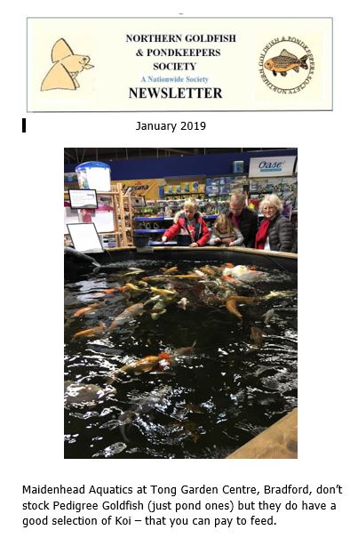 062-NGPSnewsletterJanuary2019Phone.pdf
