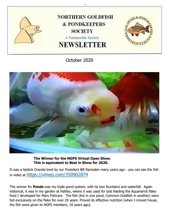 NGPSnewsletterOctober2020phone.pdf