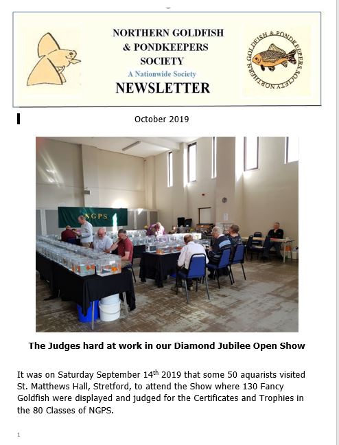 071-NGPSnews2019oct.pdf