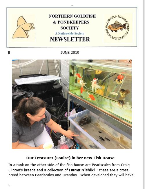 067-NGPSnews2019jun.pdf