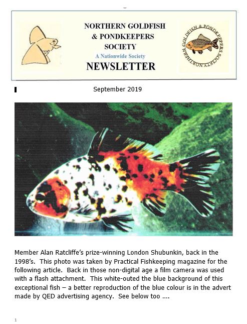 070-NGPSnews2019sep.pdf