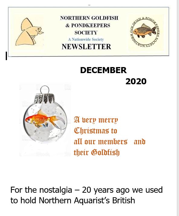 NGPSnewsletterDecember2020phone[2305843009223926622].pdf