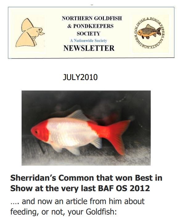 NGPSnewsletterJuly2020phone.pdf