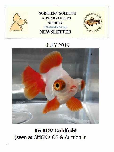 068-NGPSnews2019jul.pdf