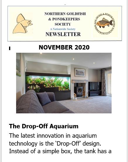 NGPSnewsletterNovember2020phone.pdf