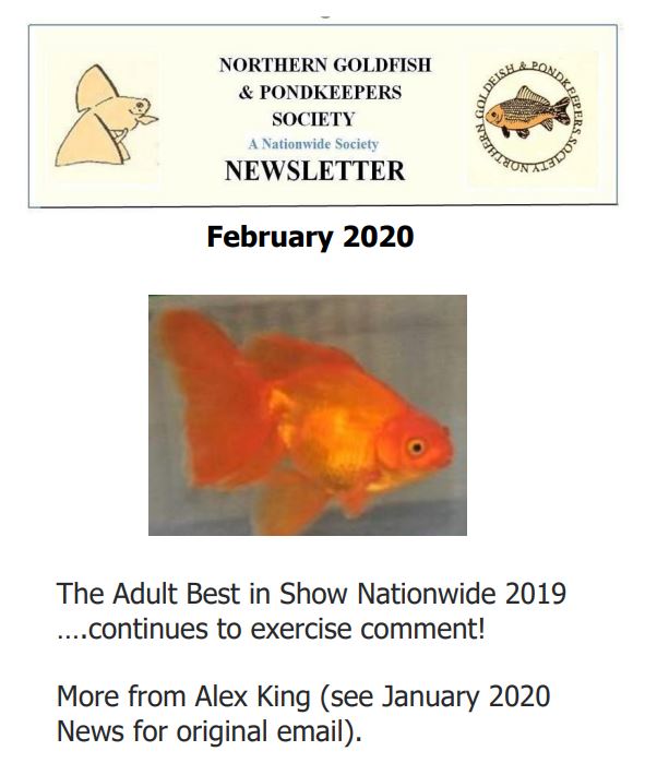 NGPSnewsFeb2020.pdf