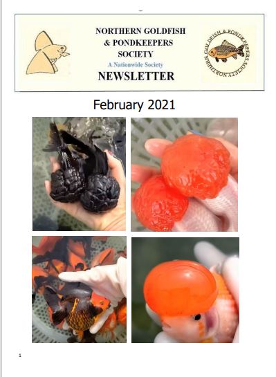 NGPSnewsletterFebruary2021phone.pdf