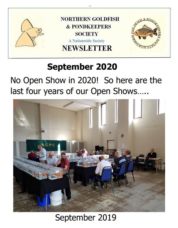 NGPSnewsletterSeptember2020phone.pdf