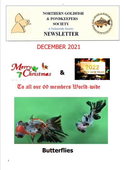 NGPSnewsletterDecember2021phone.pdf