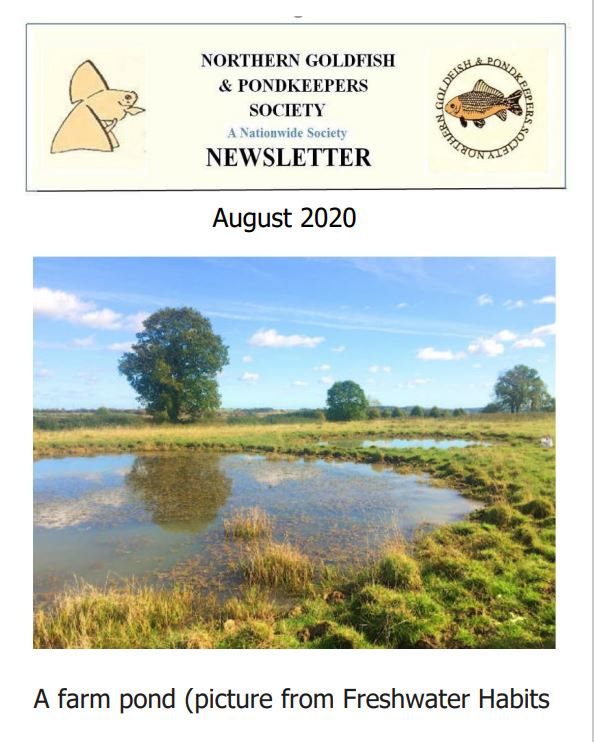NGPSnewsletterAugust2020pc.pdf