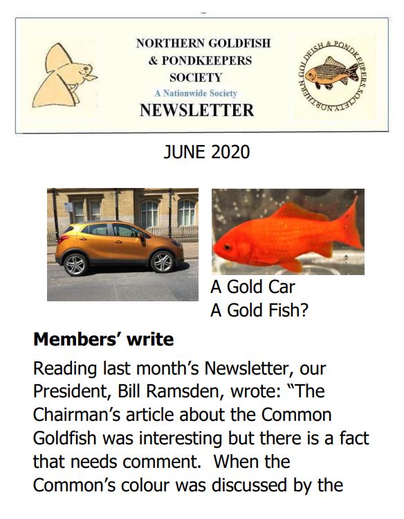 NGPSnewsletterJune2020phone.pdf
