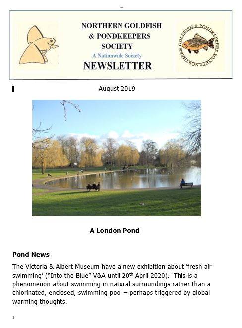 069-NGPSnews2019aug.pdf