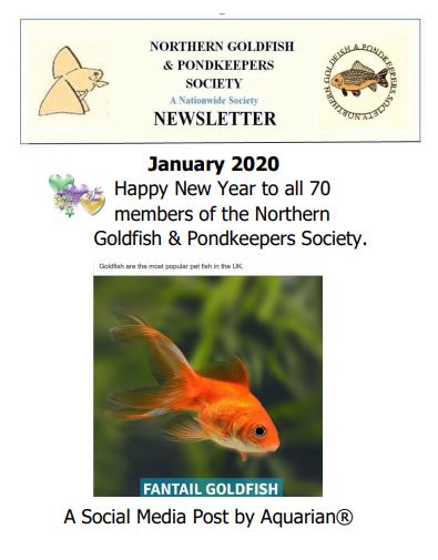 NGPSnewsJan2020a.pdf