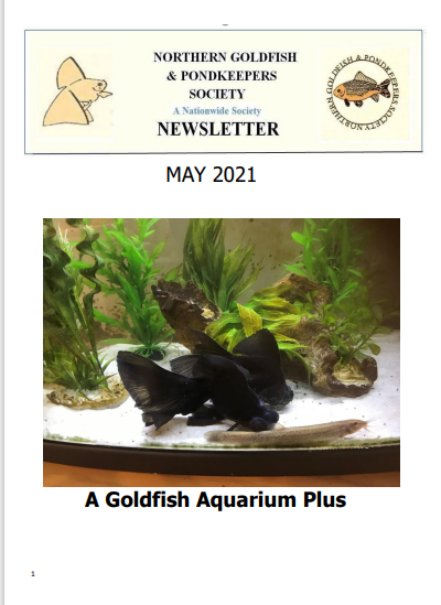 NGPSnewsletterMay2021pc.pdf