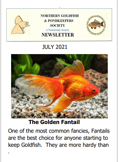 NGPSnewsletterJuly2021phone.pdf